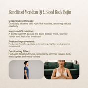Meridian Qi & Blood Body Bojin