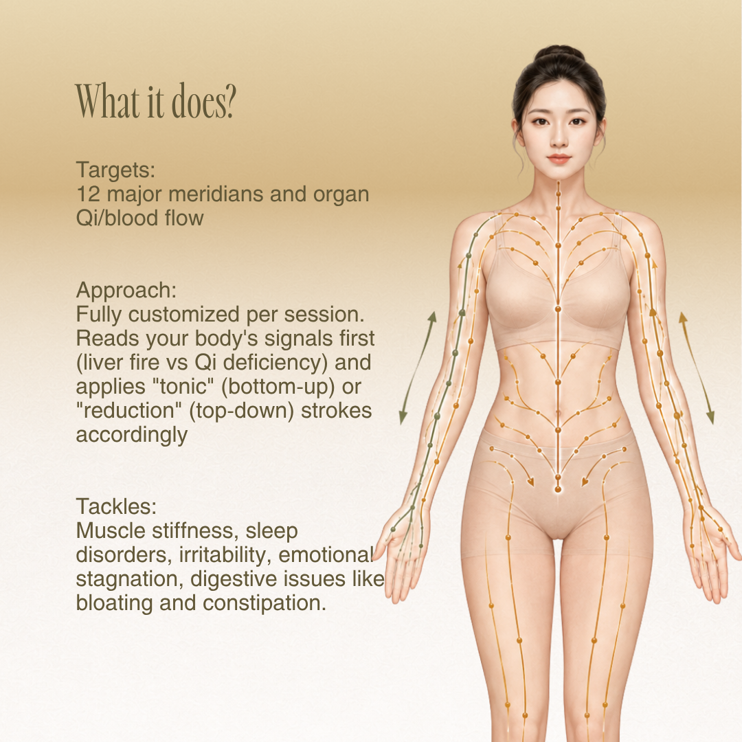 Meridian Qi & Blood Body Bojin