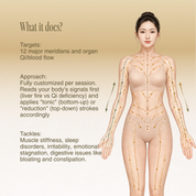 Meridian Qi & Blood Body Bojin